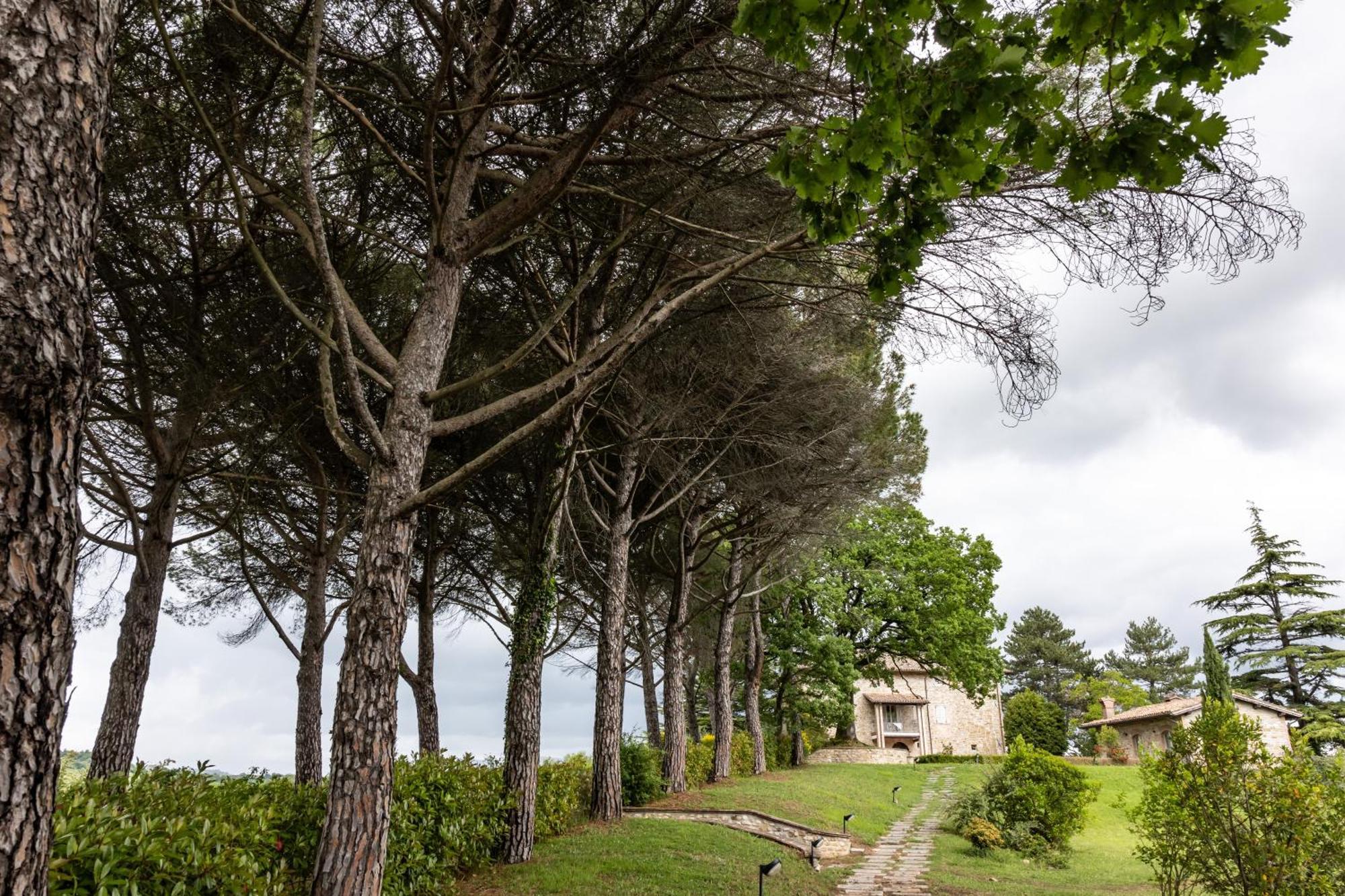 Tenuta Borgo San Michele Gubbio Eksteriør billede