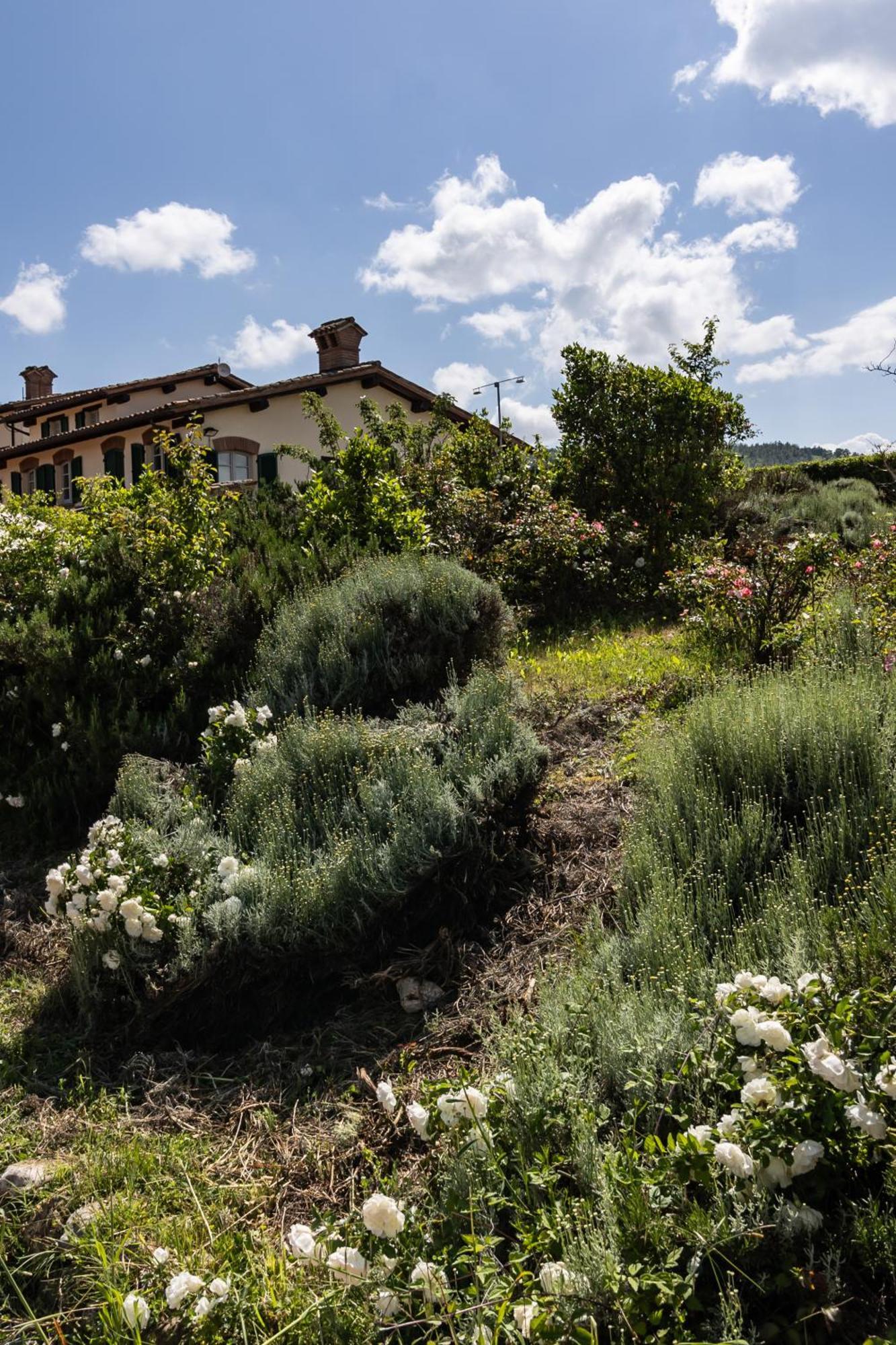 Tenuta Borgo San Michele Gubbio Eksteriør billede